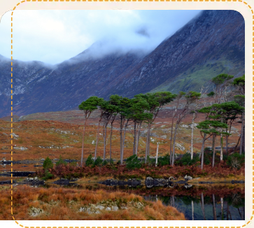 Derryclare island close to the Inagh valley in the heart of Connemara